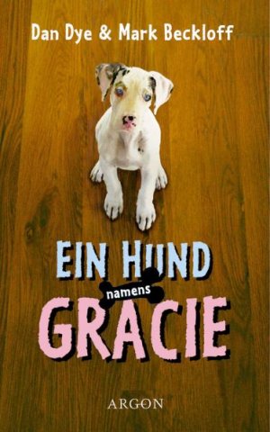 gebrauchtes Buch – Dan Dye – Ein Hund namens Gracie