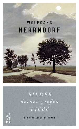 gebrauchtes Buch – Wolfgang Herrndorf – Bilder deiner großen Liebe: Ein unvollendeter Roman ein unvollendeter Roman