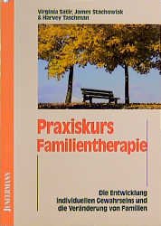 ISBN 9783873874268: Praxiskurs Familientherapie – Die Entwicklung individuellen Gewahrseins und die Veränderung von Familien