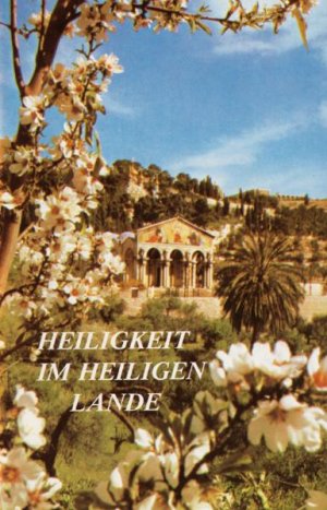 ISBN 9783874491556: Heiligkeit im Heiligen Land