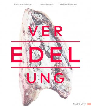 ISBN 9783875154221: Veredelung – von Fleisch, Fisch und Gemüse
