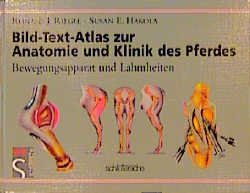 ISBN 9783877065532: Bild-Text-Atlas zur Anatomie und Klinik des Pferdes: Bewegungsapparat und Lahmheiten [Gebundene Ausgabe] Veterinärmedizin Vorklinik Tierheilkunde Tiermedizin Klinische Fächer Pathologie Erkrankungen F