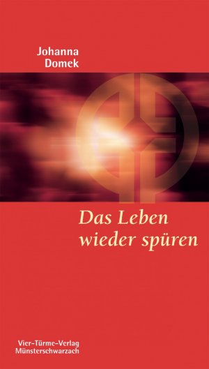 ISBN 9783878686316: Das Leben wieder spüren - 12 Schritte aus der Abhängigkeit