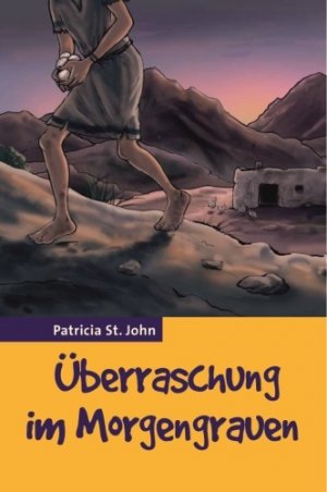 gebrauchtes Buch – St. John – Überraschung im Morgengrauen und andere Geschichten