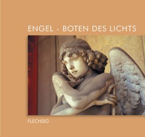 ISBN 9783881895347: Engel - Boten des Lichts