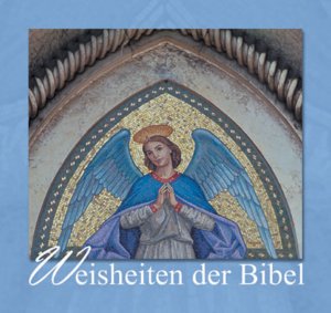 ISBN 9783881895729: Weisheiten der Bibel