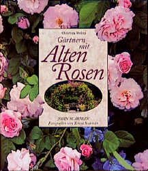 ISBN 9783884723111: Gärtnern mit Alten Rosen