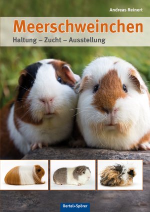 ISBN 9783886273218: Meerschweinchen - Haltung - Zucht - Ausstellung