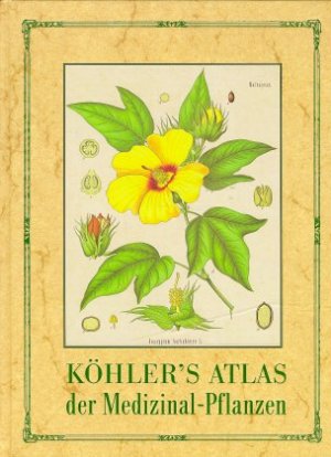 gebrauchtes Buch – G Pabst – Köhler's Atlas Medizinal-Pflanzen