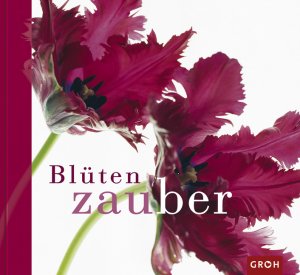 ISBN 9783890083131: Blütenzauber