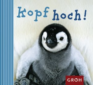 ISBN 9783890083667: Kopf hoch!