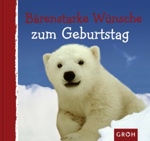 ISBN 9783890083773: Bärenstarke Wünsche zum Geburtstag