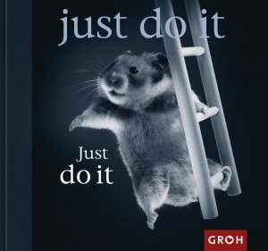 ISBN 9783890084893: Just do it