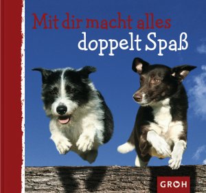 ISBN 9783890085098: Mit dir macht alles doppelt Spass