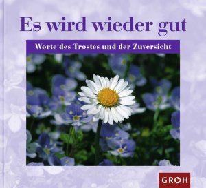 ISBN 9783890085135: Es wird wieder gut