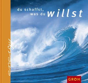 ISBN 9783890085166: Du schaffst, was du willst