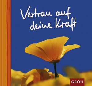 ISBN 9783890085456: Vertrau auf deine Kraft