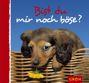 ISBN 9783890085463: Bist Du mir noch böse?