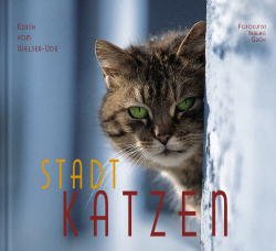 gebrauchtes Buch – Stadtkatzen