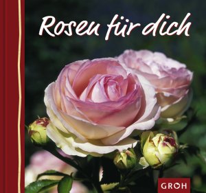 gebrauchtes Buch – Jutta Metz – Rosen für dich. Blumengrüße (Blumengrüsse für dich)