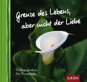 ISBN 9783890088358: Grenze des Lebens, aber nicht der Liebe