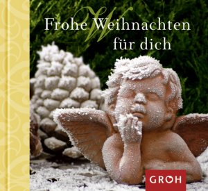 ISBN 9783890089881: Frohe Weihnachten für dich: Weihnachten - Zeit der Besinnung & Freude