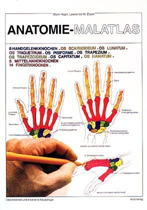 ISBN 9783890750804: Anatomie-Malatlas