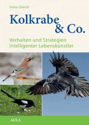 ISBN 9783891047606: Kolkrabe & Co. - Verhalten und Strategien intelligenter Lebenskünstler