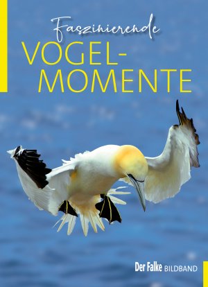 ISBN 9783891048290: Faszinierende Vogelmomente - DER FALKE-Bildband