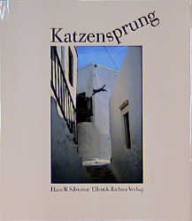 gebrauchtes Buch – Hans W Silvester – Katzensprung