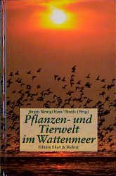 ISBN 9783892349310: Pflanzen und Tiere im Wattenmeer