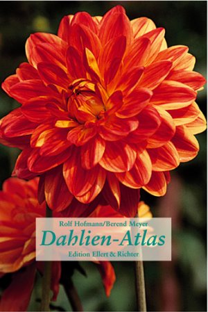 ISBN 9783892349495: Dahlien-Atlas (Edition Ellert und Richter) (Edition Ellert und Richter) [Gebundene Ausgabe] Rolf Hofmann (Autor), Berend Meyer (Autor) Blütenmeer Spätsommer Garten Botanik Sortenkunde Gartenlandschaft