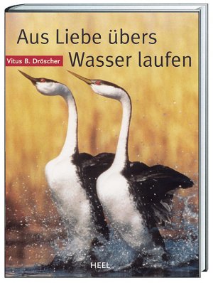 ISBN 9783893658756: Aus Liebe übers Wasser laufen