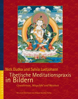 ISBN 9783893855230: Tibetische Meditationspraxis in Bildern: Gewahrsein, Mitgefühl und Weisheit Luetjohann und Dudka, Nick