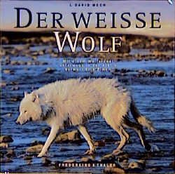 ISBN 9783894053000: Der weisse Wolf