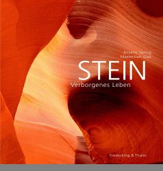 ISBN 9783894054328: Stein – Verborgenes Leben