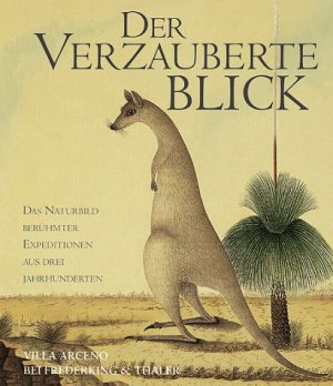 gebrauchtes Buch – Anthony Rice – Der verzauberte Blick