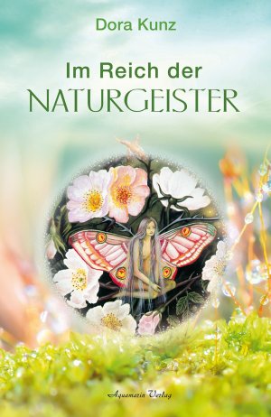 ISBN 9783894271893: Im Reich der Naturgeister