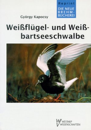 ISBN 9783894322250: Weissbart- und Weissflügelseeschwalbe – Chlidonias leucopterus und Chlidonias hybrida