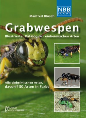 ISBN 9783894322571: Grabwespen / Illustrierter Katalog der einheimischen Arten