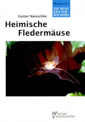 ISBN 9783894324629: Heimische Fledermäuse