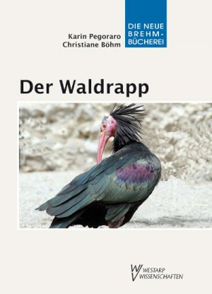 ISBN 9783894329150: Der Waldrapp – Geronticus eremita – Ein Glatzkopf in Turbulenzen