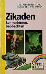 gebrauchtes Buch – Reinhard Remane Ekkehard Wachmann – Zikaden kennenlernen, beobachten [Gebundene Ausgabe] Moorzikaden Arbeitskreis Zikade Mitteleuropas Insektenarten cicada Auchenorrhyncha Cicadina Zirpen Insekten Schnabelkerfen Hemiptera Rundkopfzikade