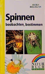 ISBN 9783894400644: Spinnen