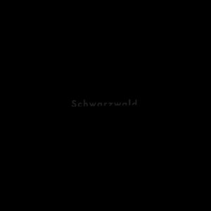 ISBN 9783894796341: Schwarzwald 2010