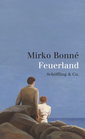 ISBN 9783895614071: Feuerland