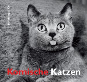 gebrauchtes Buch – Komische Katzen