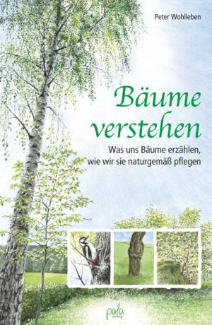 ISBN 9783895662997: Bäume verstehen – Was uns Bäume erzählen, wie wir sie naturgemäß pflegen