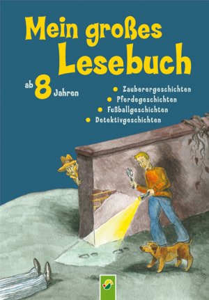 ISBN 9783896008589: Mein großes Lesebuch ab 8 Jahren – Zaubergeschichten, Pferdegeschichten, Fußballgeschichten, Detektivgeschichten