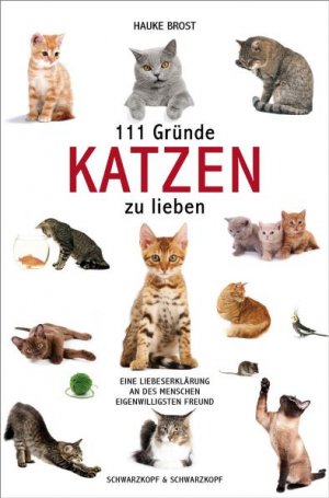 ISBN 9783896029140: 111 Gründe, Katzen zu lieben - Eine Liebeserklärung an des Menschen eigenwilligsten Freund